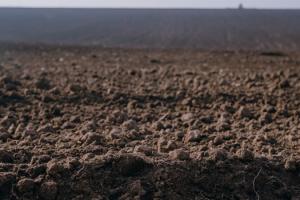 На всій території України спостерігається зменшення родючості ґрунту — дослідження