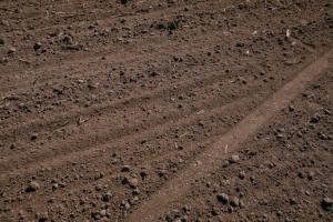 В Україні затверджено нормативи гранично допустимих концентрацій небезпечних речовин у ґрунтах