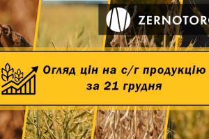 Ціни на с/г продукцію  — огляд за 21 грудня від Zernotorg.ua