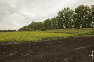 На Житомирщині фермер незаконно приватизував землі вартістю 74 млн грн