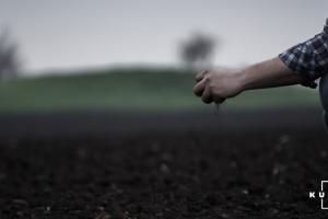 На Миколаївщині через урожай конфліктують два фермери 