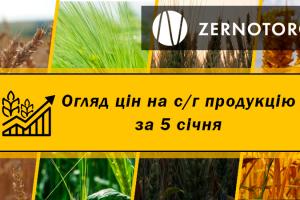 Ціни на с/г продукцію — огляд за 5 січня від Zernotorg.ua