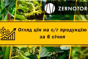 Як змінились ціни на зерно — огляд за 6 січня від Zernotorg.ua