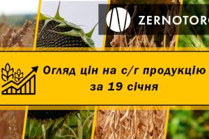 Ціни на зернові та олійні — огляд за 19 січня від Zernotorg.ua