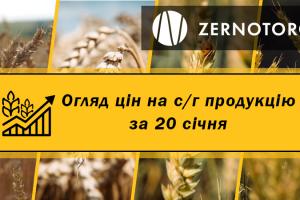 Ціни на с/г продукцію — огляд за 20 січня від Zernotorg.ua