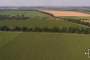 Українські фермери майже не беруть участь в торгівлі землею — Томич