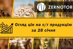 Ціни на зерно стабілізувались — огляд за 28 січня від Zernotorg.ua