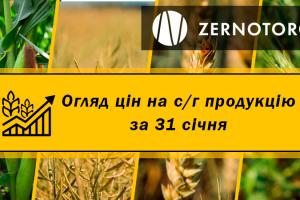 Ціни на с/г продукцію — огляд за 31 січня від Zernotorg.ua