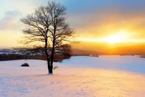Синоптики прогнозують опади та налипання мокрого снігу