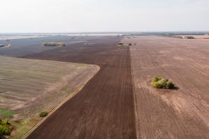 Харківщина та Київщина стали лідерами за продажем найдорожчих земельних ділянок