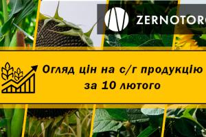 Ціна соняшнику знизилась на 250 грн/т — огляд за 10 лютого від Zernotorg.ua