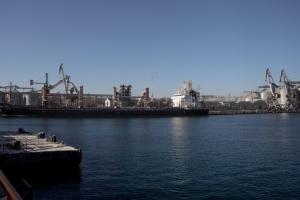 Блокада портів Росією призведе до різкого падіння внутрішніх цін на експортні товари — Мірошніченко