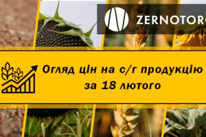Зернові та олійні дорожчають — огляд за 18 лютого від Zernotorg.ua