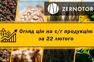 Як змінились ціни на пшеницю — огляд за 22 лютого від Zernotorg.ua