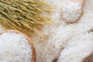 Одеські фермери передали кілійський рис для гуманітарної допомоги Києву