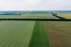 Українським фермерам нададуть безкоштовний доступ до супутникового моніторингу полів