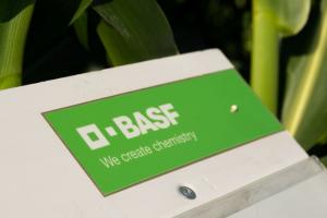 BASF відкриває цілодобову гарячу лінію для консультації аграріїв
