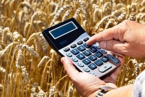 Врожай зернових в Україні може бути на 20% нижчим торішнього