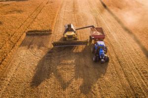 На Дніпропетровщині планують зібрати понад 3 млн т зерна нового врожаю