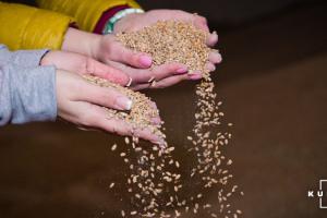 Фермери притримують врожай зерна до кращої ціни