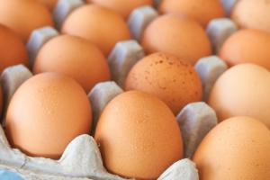 АМКУ перевіряє причини різкого росту ціни яєць