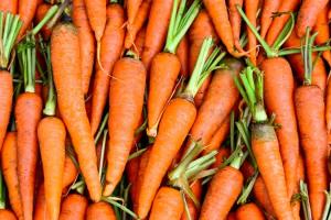 Стало відомо, чому росте ціна моркви
