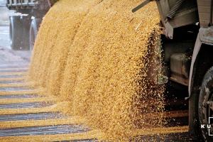 Озвучено закупівельну ціну кукурудзи в чорноморських портах