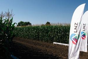 Війна не зупинила співпрацю: LNZ закуповував у аграріїв зерно