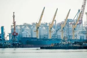 Порти Миколаєва на 90% готові до експорту зерна — Кім