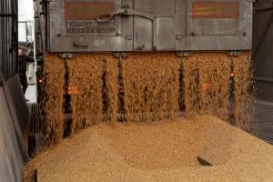 Питання контролю за експортом українського зерна найближчим часом буде врегульовано — Зеленський