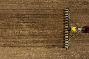 Посівна соняшнику: скільки гектар засіяли аграрії