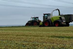 На Тернопільщині господарство отримує два врожаї в рік з одного поля