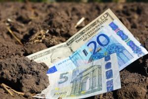 Гроші, євро та американські долари