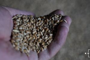 росія продає на світовому ринку мільйони тонн вкраденого в Україні зерна — Bloomberg