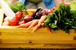 Фермери-органіки кооперуються для постачань продукції у супермаркети