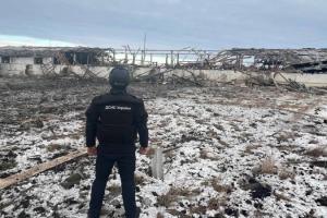 Знищена окупантами свиноферма на Харківщині