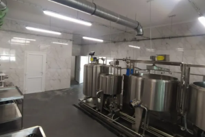 На Житомирщині продають мінісироварню