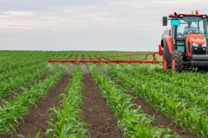 Фахівці розповіли, як забезпечити максимальну результативність обробок сільгоспкультур