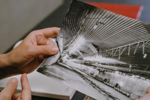 Фермери Півдня зможуть отримати до $5 000 на відновлення чи розширення бізнесу