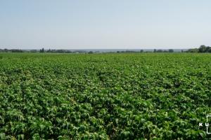 Юрособи зможуть отримувати дані про земельні ділянки у застосунку моЄ