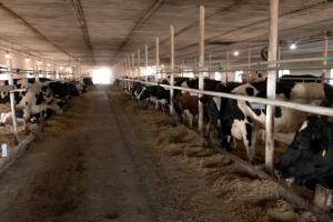 ТОВ «Красногірське»