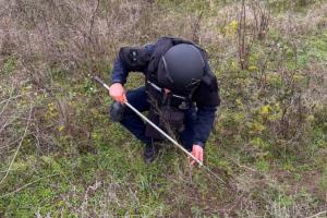 Розмінування Херсонщини