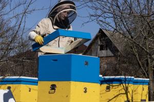 Українські фермери можуть отримати до 150 тисяч доларів на відновлення господарств