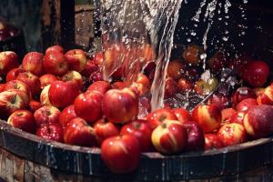 Дари Берегівщини налагодили виробництво яблучного соку