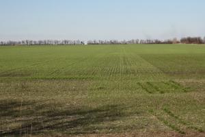 В Україні запроваджується нова форма податкової декларації з орендної плати за державні с/г землі