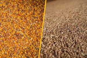 Російські удари по портах загрожують обвалом українського аграрного експорту — ВАР