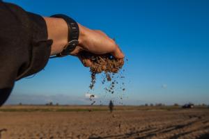 Ціни на землю можуть зрости у 2026 році — Денис Марчук