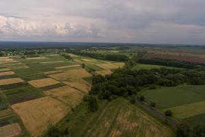Фонд держмайна озвучив скільки державних земель передали в оренду у 2025 році