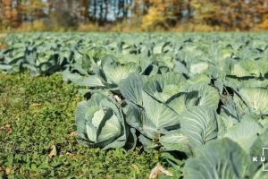 Господарство з Черкащини створило ОВК та отримало у власність меліоративні об'єкти