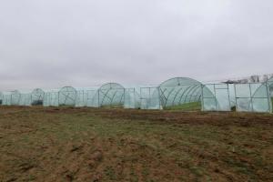 Переселенець з Херсонщини розвиває тепличний бізнес на Вінниччині